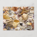 Suche nach mollusken postkarten Meer
