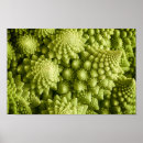 Suche nach brokkoli poster Blumenkohl