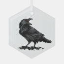 Recherche de corbeau ornements Faune