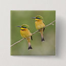 Recherche de deux oiseaux badges Faune