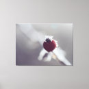 Suche nach rote beeren leinwandbilder Natur