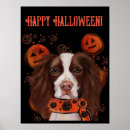 Suche nach english springer spaniel poster Spaniels
