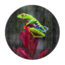 Suche nach regenwald schneidebrettchen Frosch
