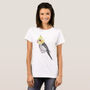 Recherche de cockatiel Perruche