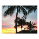 Recherche de tropical photographie Toute personne