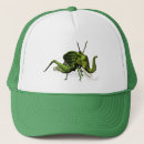 Recherche de insecte fait sur commande casquettes Cricket
