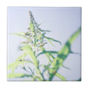 Suche nach purple fliesen Natur