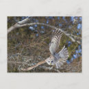 Recherche de gilles cartes postales Canada