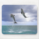 Suche nach delfin mousepads Natur