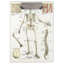 Suche nach medizin klemmbrett Arzt