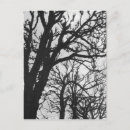Recherche de boulevard paris cartes postales Arbre