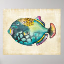 Suche nach lila und blau poster Meeresleben