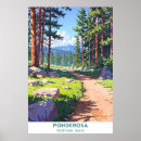 Recherche de ponderosa poster Nature