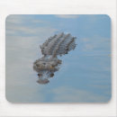 Recherche de alligators électronique Faune