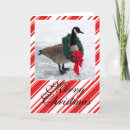 Suche nach lustige kanadische karten Weihnachten