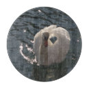 Suche nach schwäne schneidebrettchen Schwan