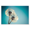 Recherche de grain posters Bleu