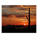 Recherche de saguaro cactus poster Nature