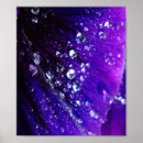 Suche nach wassertropfen poster Natur