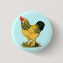 Recherche de coq badges Animal