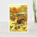 Recherche de jeune coq cartes postales Poulets