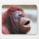 Suche nach wildes tier mousepads Orang utan