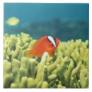 Recherche de poissons tropicaux carreaux Vert