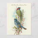 Suche nach viktorianische vögel postkarten Vintag