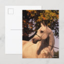 Recherche de headshot cartes postales Animal