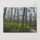 Recherche de monticule cartes postales Parc