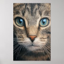 Suche nach niedliche haustiere poster Von nahem
