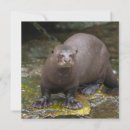 Suche nach riverbank postkarten Natur