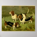 Suche nach basset poster Hund