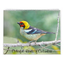 Suche nach bunter kalender Vögel