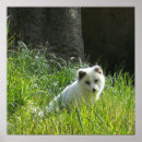 Suche nach arktis poster Natur