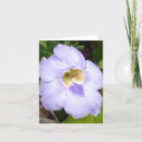 Suche nach insekten karten Blume