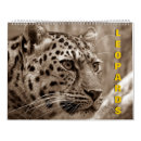 Recherche de leopard calendriers Nature