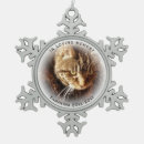 Recherche de cat memorial Dog