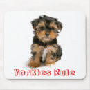 Recherche de yorkie tapis souris Chiots