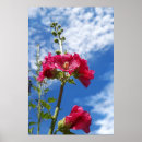 Suche nach hollyhock poster Flowers