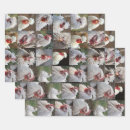 Suche nach huhn geschenkpapier Hühner