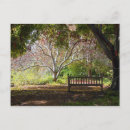 Recherche de banc parc cartes postales Détente
