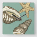 Recherche de coquilles de mer horloges Océan