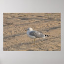 Suche nach hamptons poster Strand