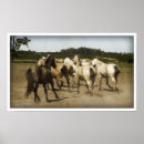 Recherche de troupeau de chevaux posters Ouest