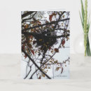 Suche nach nest karten Leer