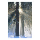 Recherche de photo de grand format posters Hiver