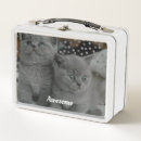 Suche nach lustige katzen brotdosen Niedliche