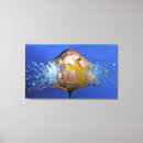 Suche nach schießen poster leinwandbilder Studioschuß