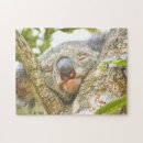 Recherche de koala puzzles Courbé